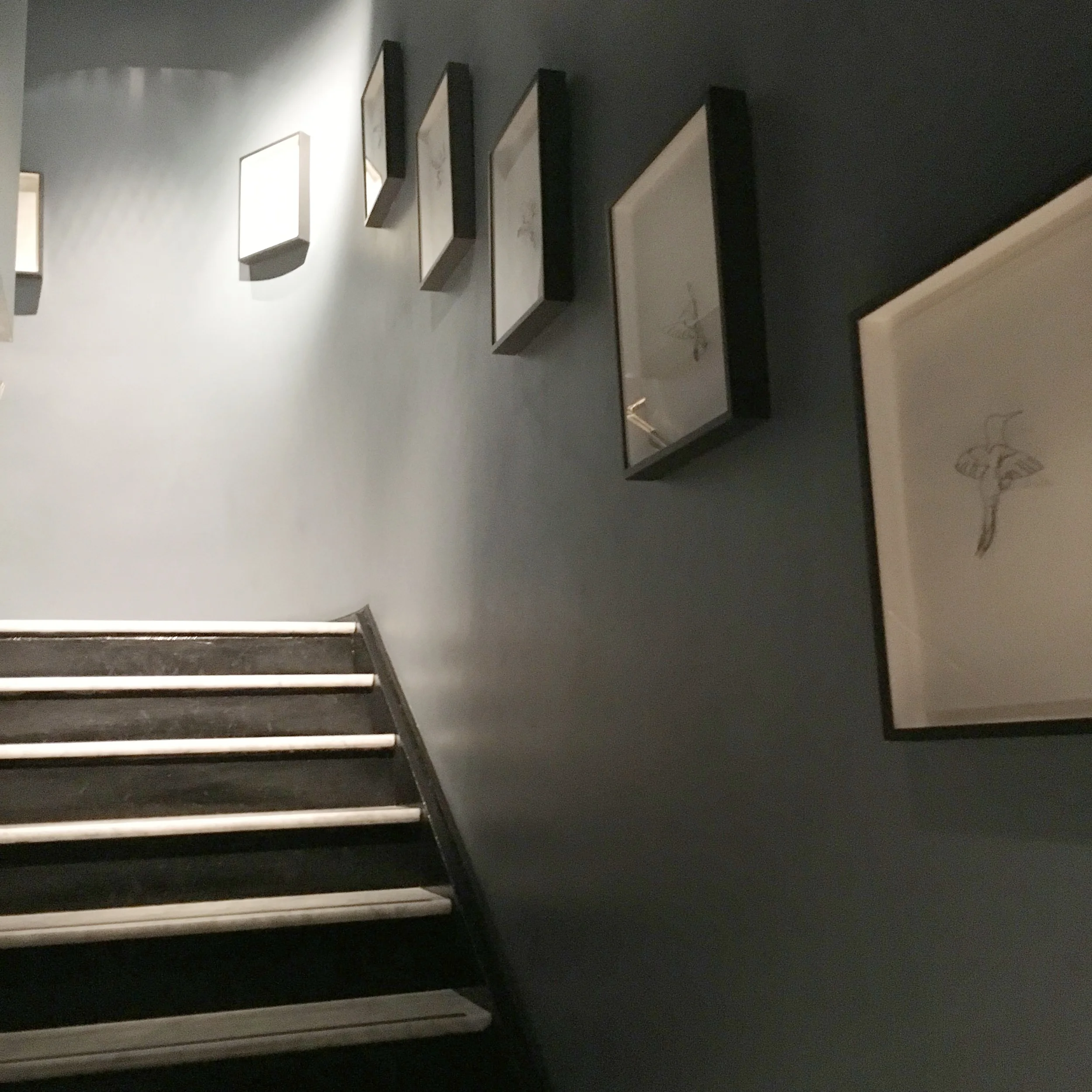 Hummingbirds lining the wall of the marble staircase at The NoMad Hotel.