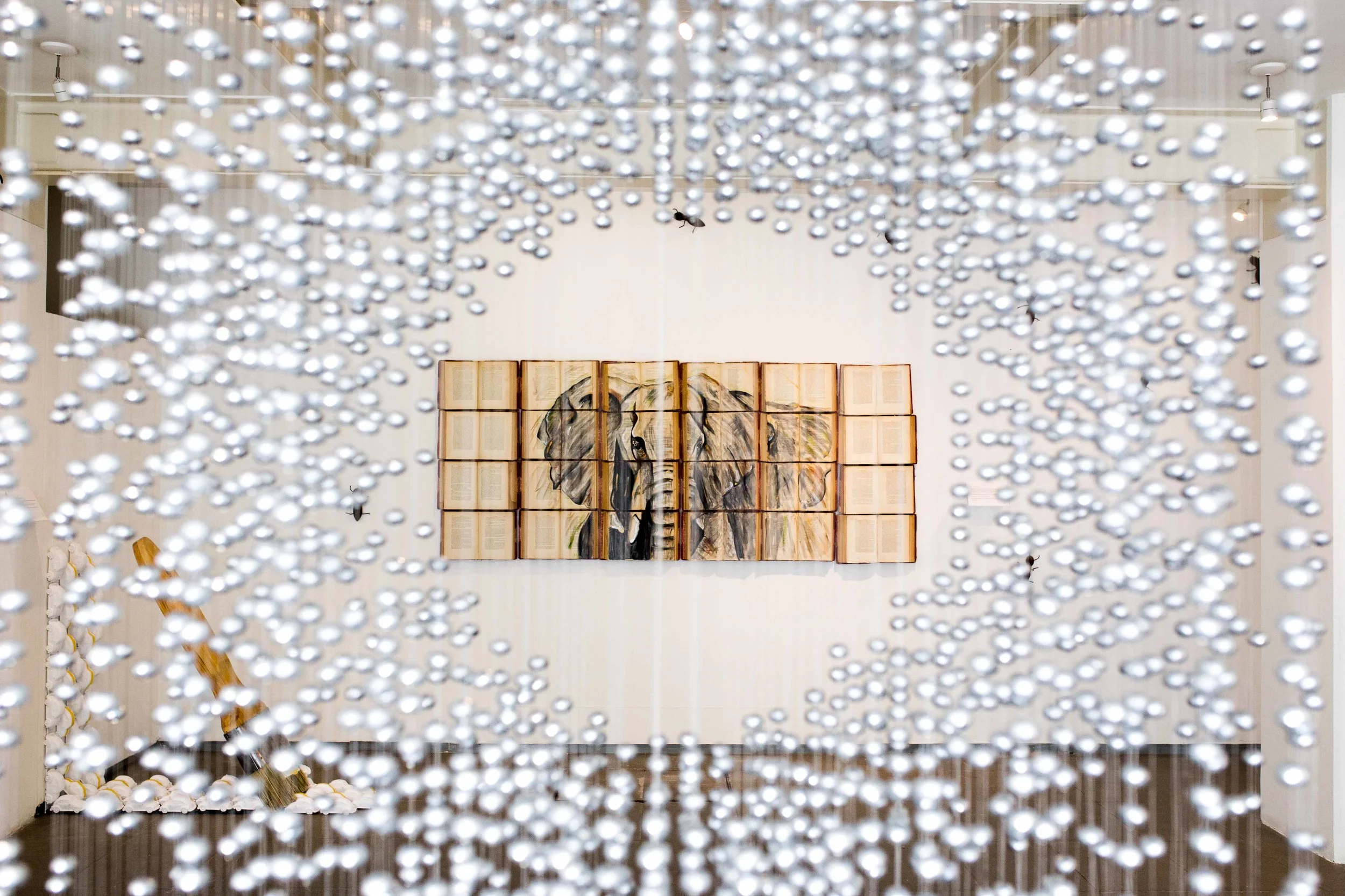 ADLF-arozarenadelafuente-expo2017.jpg