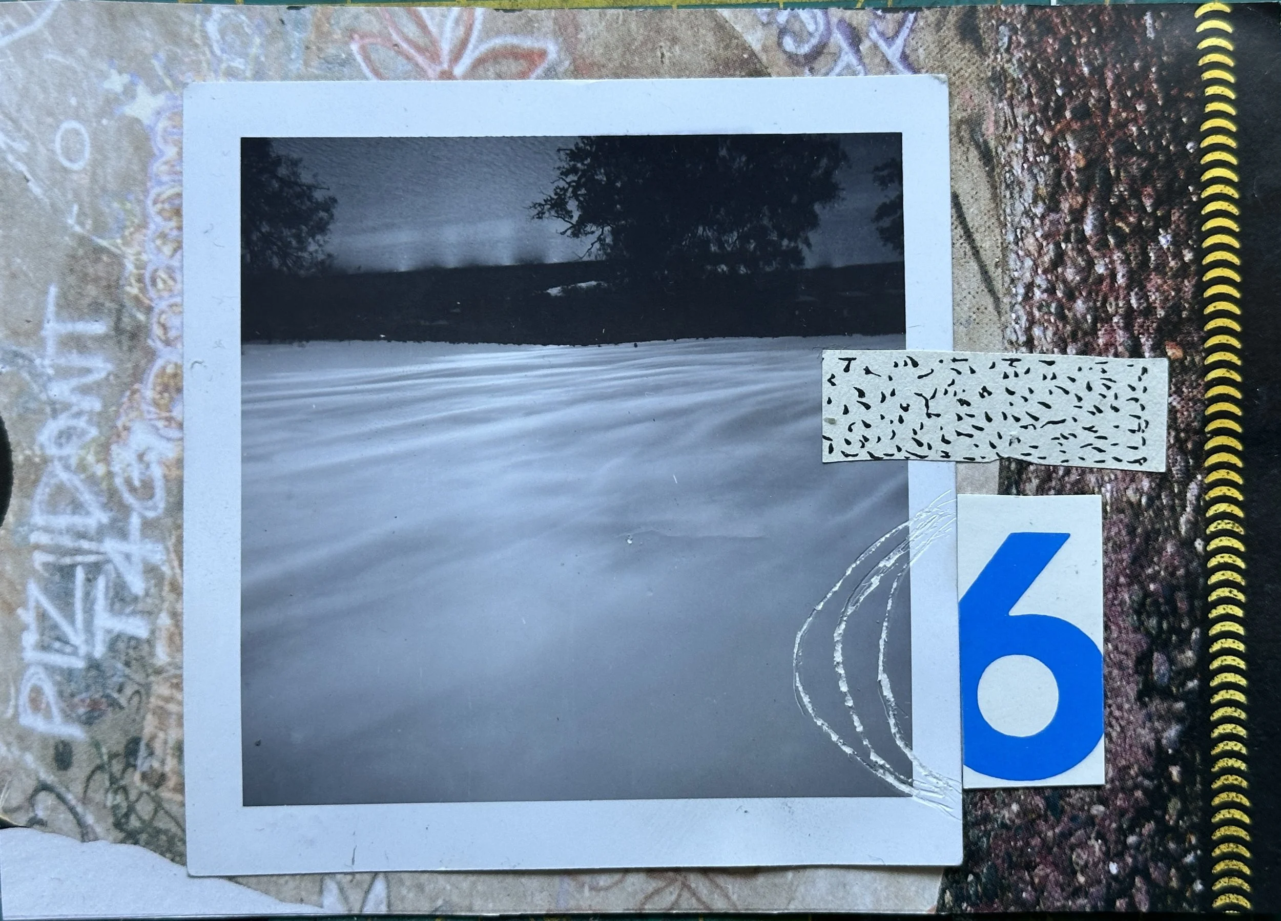 Fog 6