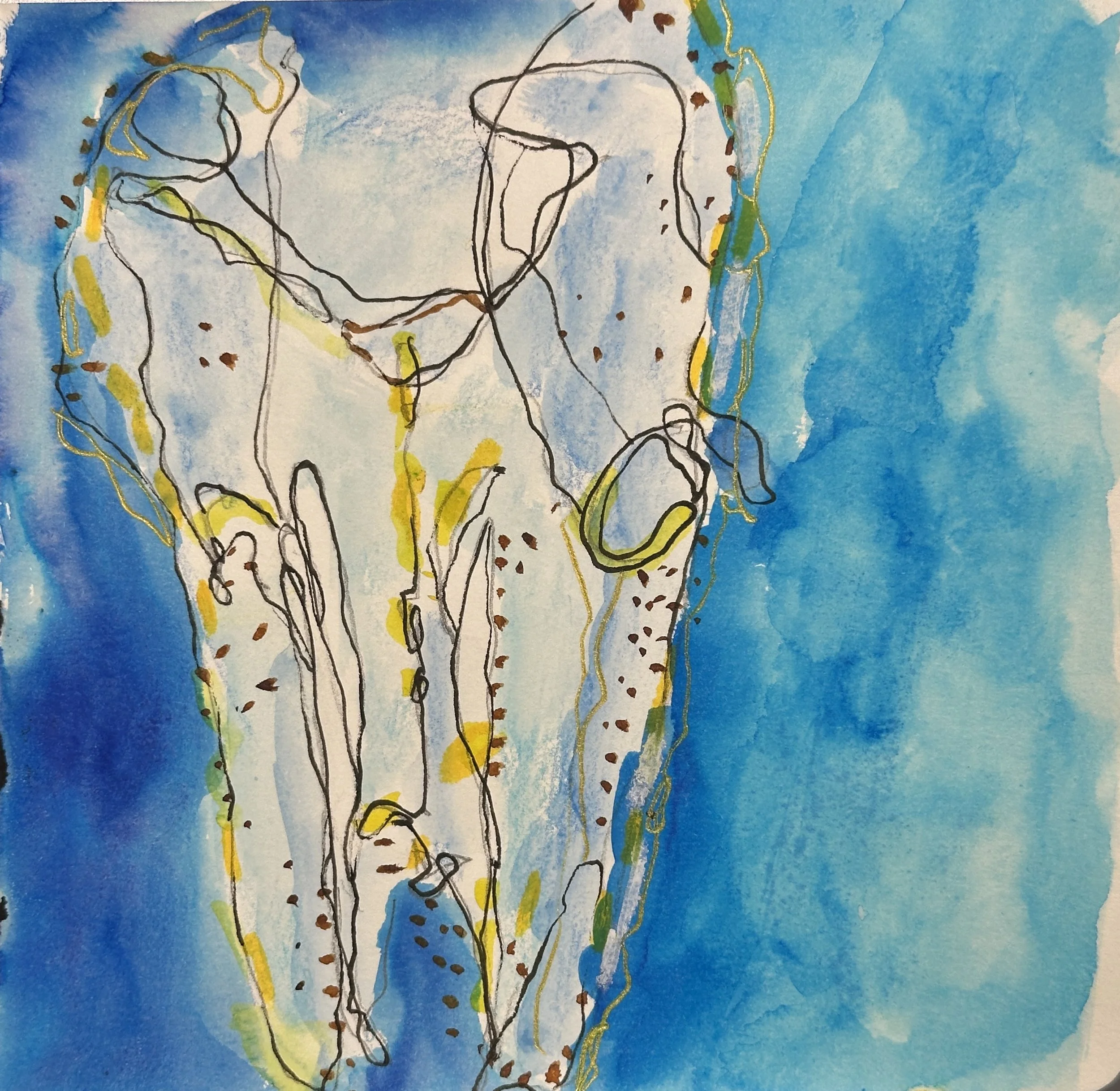 Jellyfish