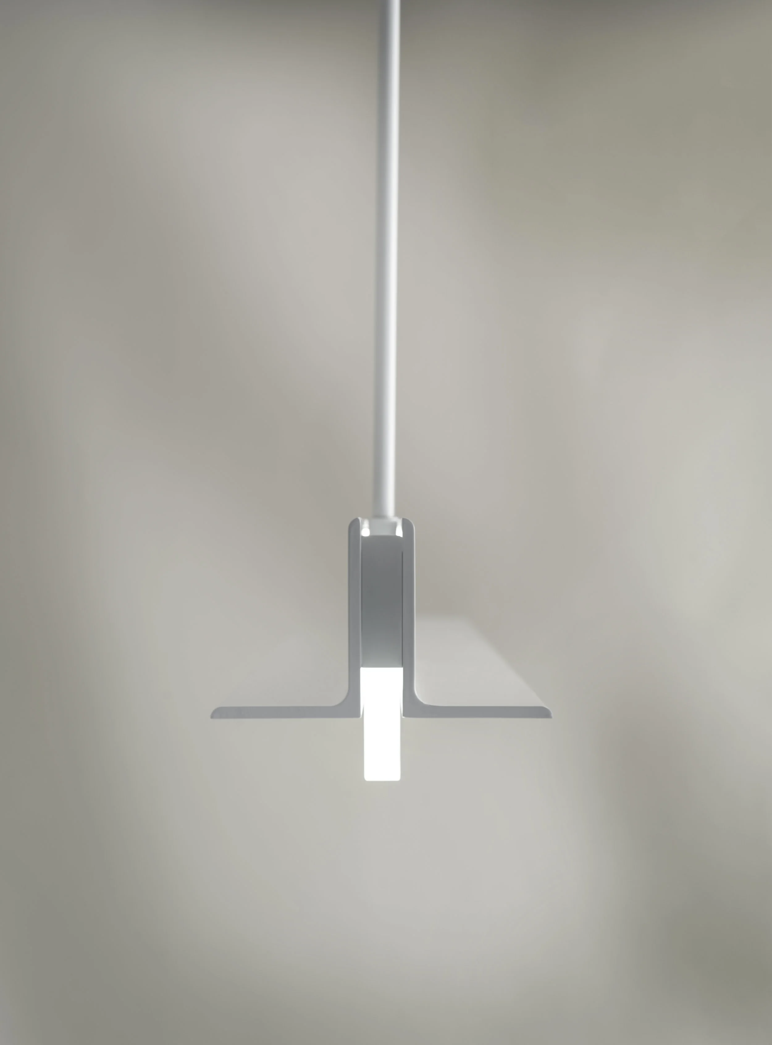 DVZ-T-light-7347.jpg