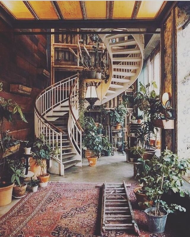 ✨ Stairway to heaven ✨
.
.
.
.
.
.
#beautifulspaces #amazinginteriors #nature #naturalist #staywild #wildlife #wilding #interiors #transformativespaces #homebeautiful #beautifulhomes