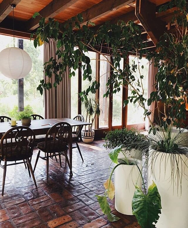 Elemental and timeless 🖖
.
.
.
.
.
.
.
.
.
#elemental #greenspaces #peaceful #interiordesign #greenthumb #plants #nature #peacefulspaces