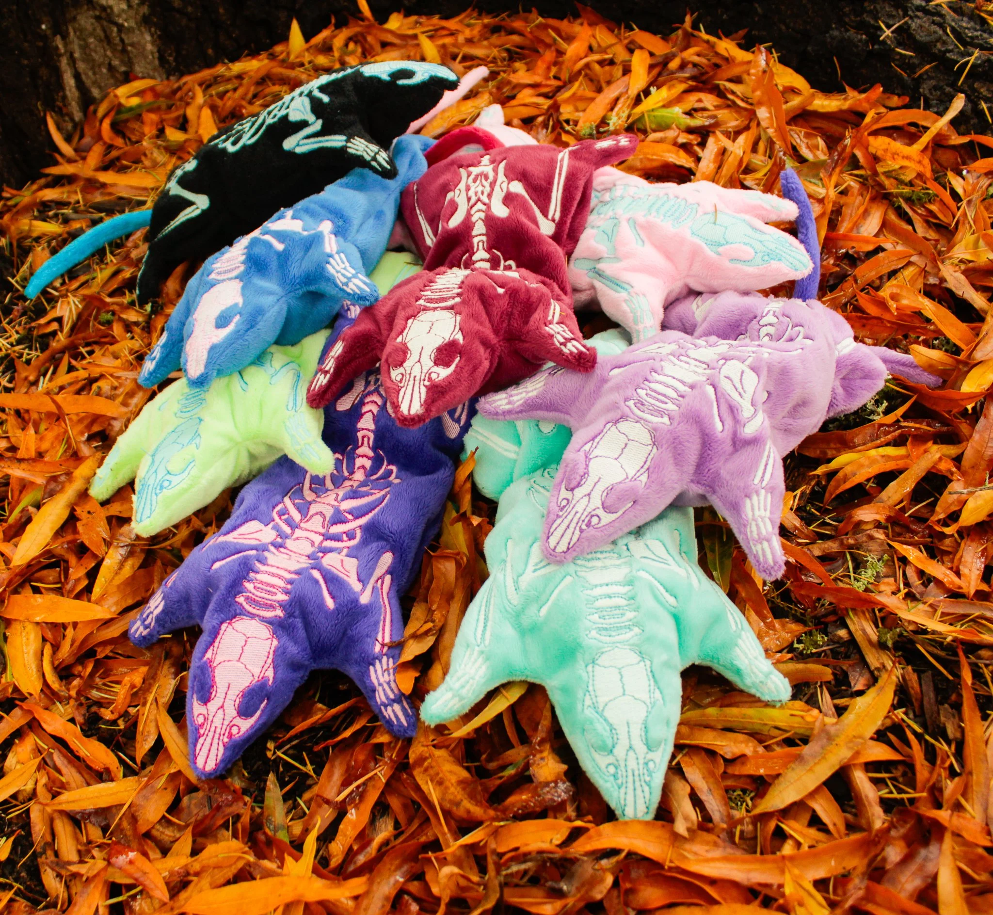 _MG_3930.jpg (Copy) (Copy) (Copy) (Copy) (Copy) (Copy)