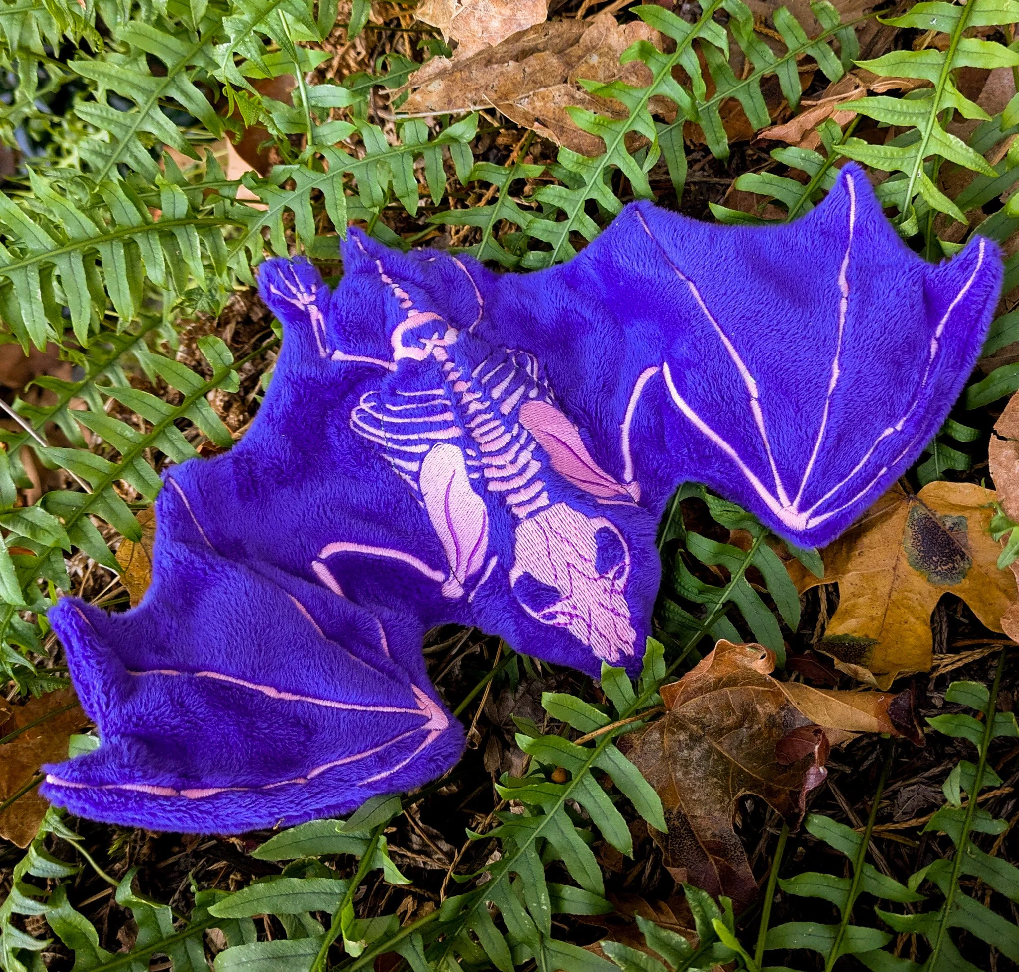 PXL_20261012_213601880.MP.jpg