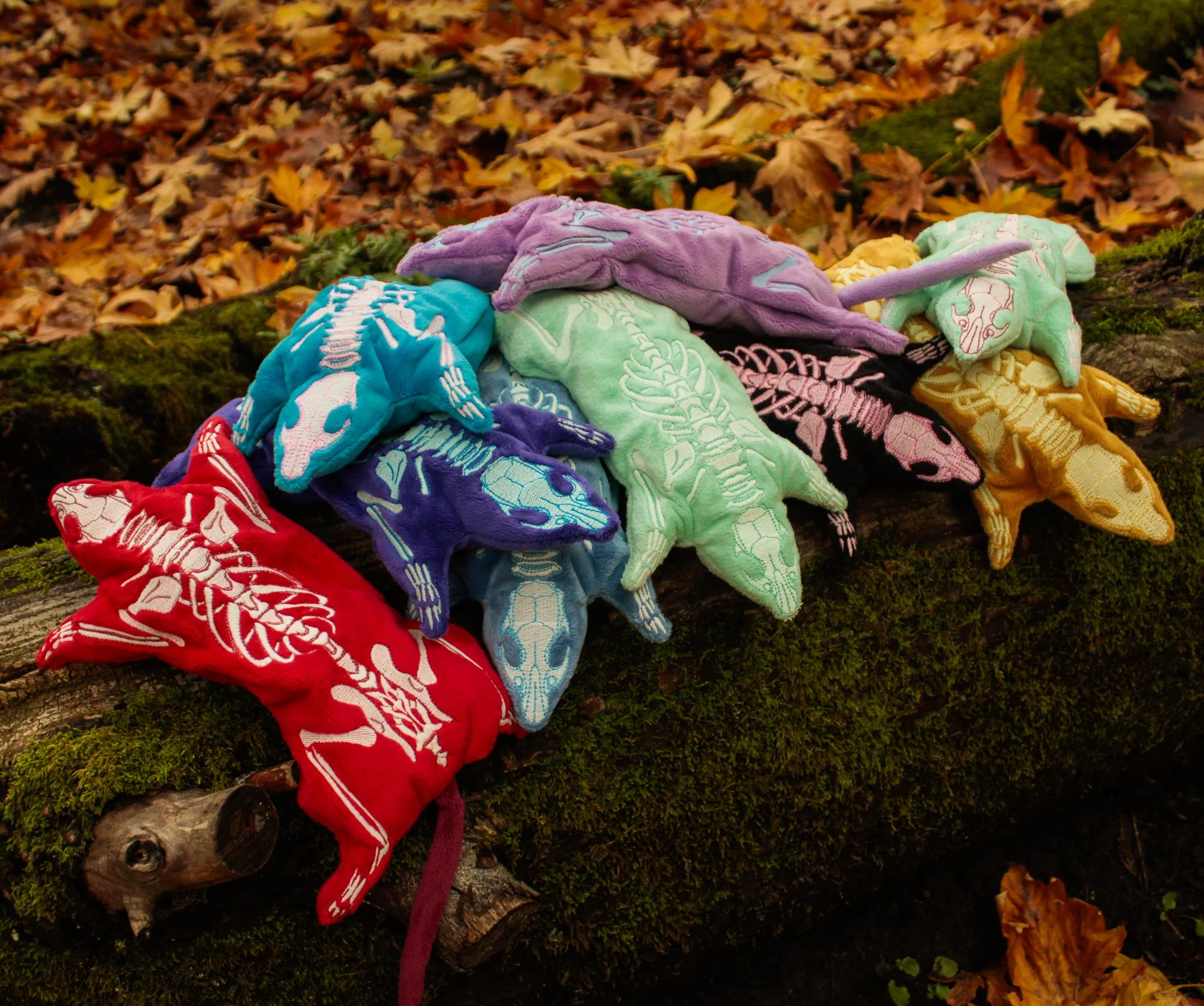 _MG_3973.jpg (Copy) (Copy) (Copy) (Copy) (Copy)