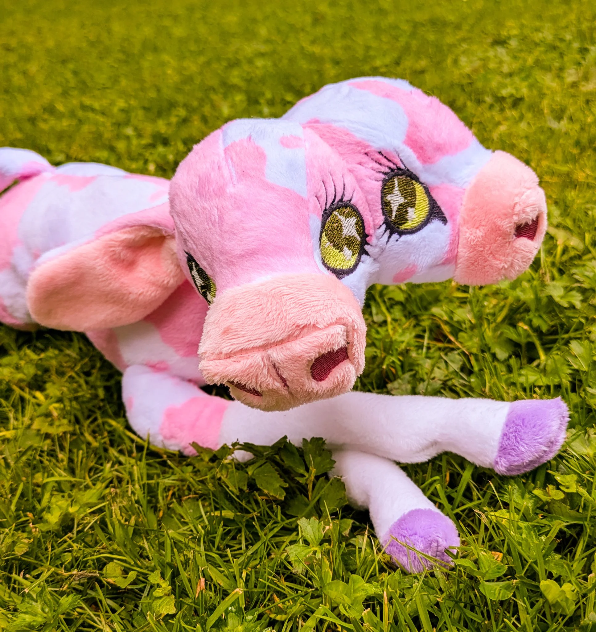 Milkshake the two-headed calf