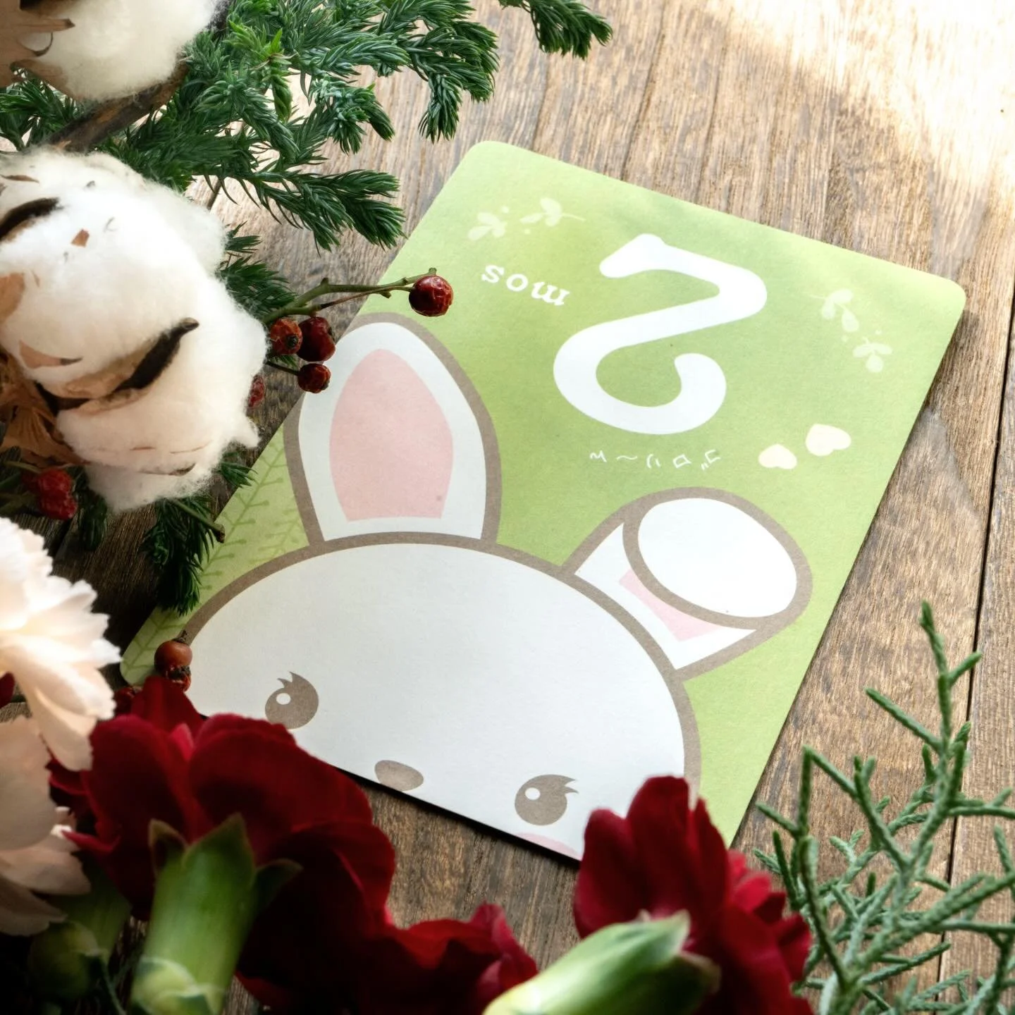 IRODORI 9年2ヶ月の誕生日
今年も残すところあと1ヶ月
綺麗に掃除をして新しい年を迎えよう
. #irodori_baby #irodori_2mos #monthlyphoto #マンスリーフォト #マンスリーカード フォトカード 2ヶ月 出産祝い ベビーギフト 2months photo irodoribaby 新米ママ マタニティー 出産準備 アニバーサリー anniversary お祝い プレママ 成長記録 簡単成長記録 ベビーフォト cadeaubebe ca