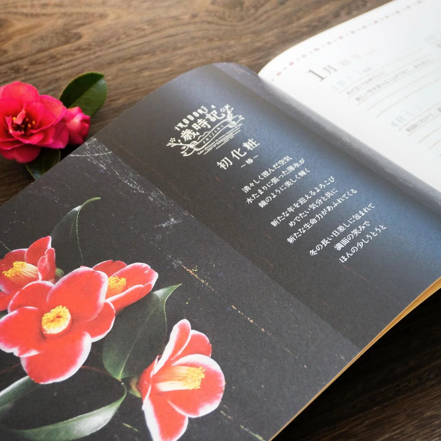 感謝の歳時記
1月〜睦月〜
季節の言葉
ー＊ー＊ー＊ー＊ー＊ー＊ー＊ー＊ー
・新春・初詣・新年・鏡開き・風花
・初凪・霜日和・餅花・初空・雪明かり
ー＊ー＊ー＊ー＊ー＊ー＊ー＊ー＊ー
.
習慣によって自分の幸せに気づき
持続的な幸せを
.
日記帳を必要としている人はもちろん、
人生の節目（出産、結婚、就学、就職、転職、退職、転居）を迎えている方や、
前に進む力を作り出そうとしている方、
もう一度自分の幸せを再認識したい方はぜひお使いください！
.
詳細はショップサイトへ
htt