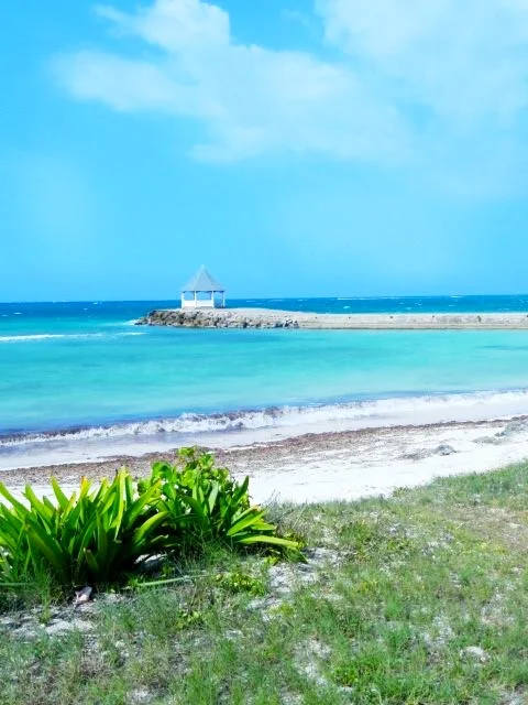 Where Surrender Takes You