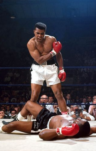 Perhaps, I have been too humble 