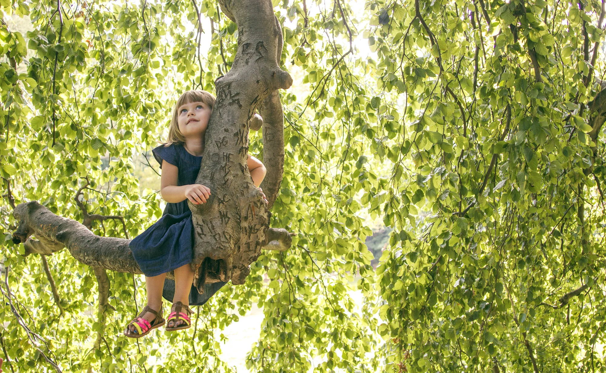 sarah-girl-on-branch-looking-up.jpg