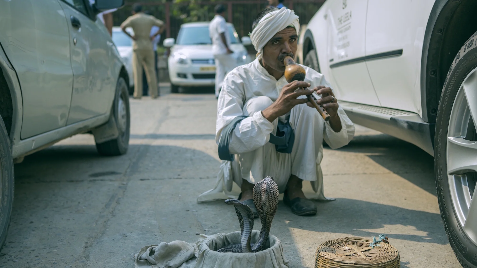 snake-charmer-parking-lot.jpg
