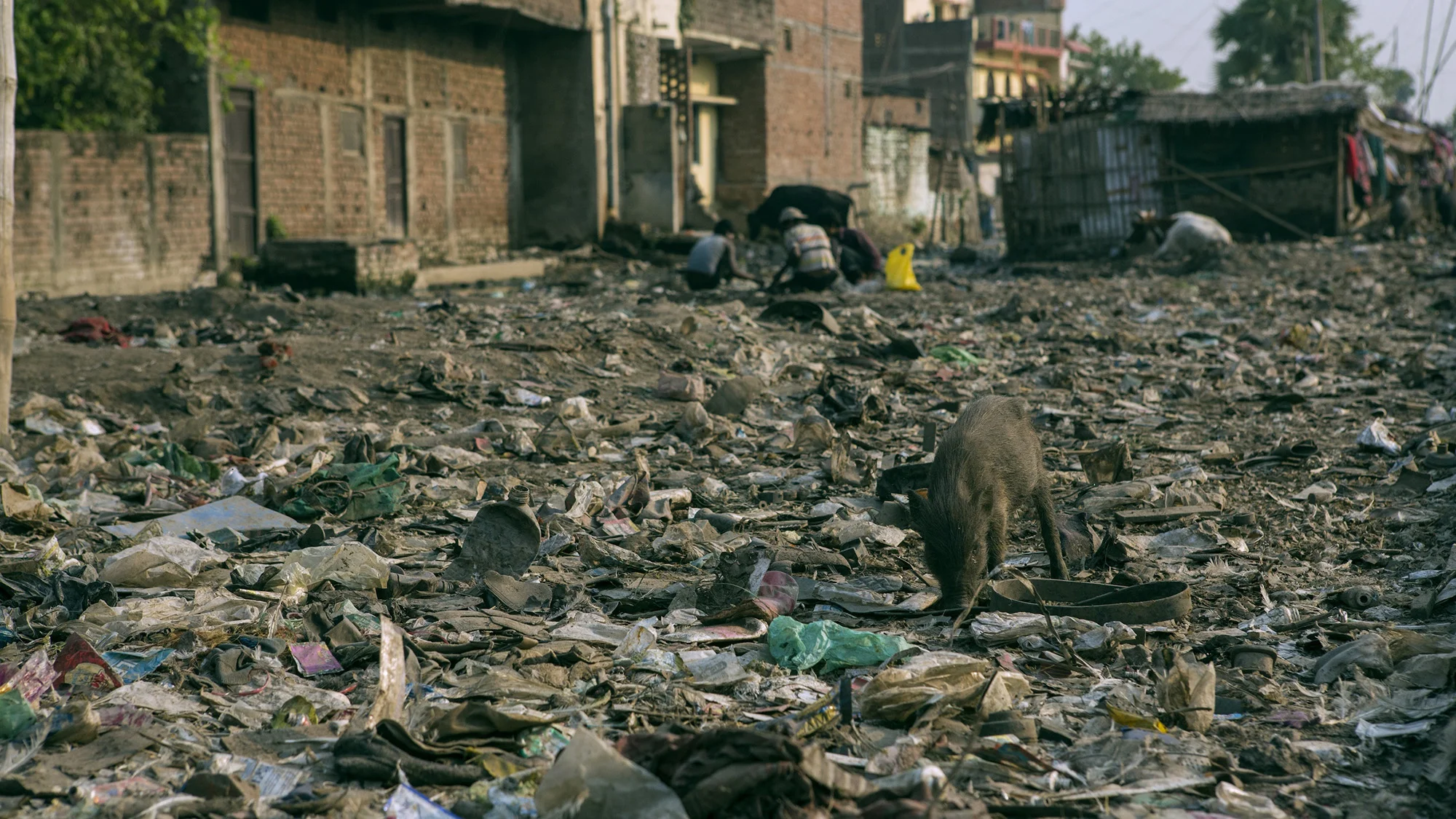 Day Eight: Some Stories Are Real