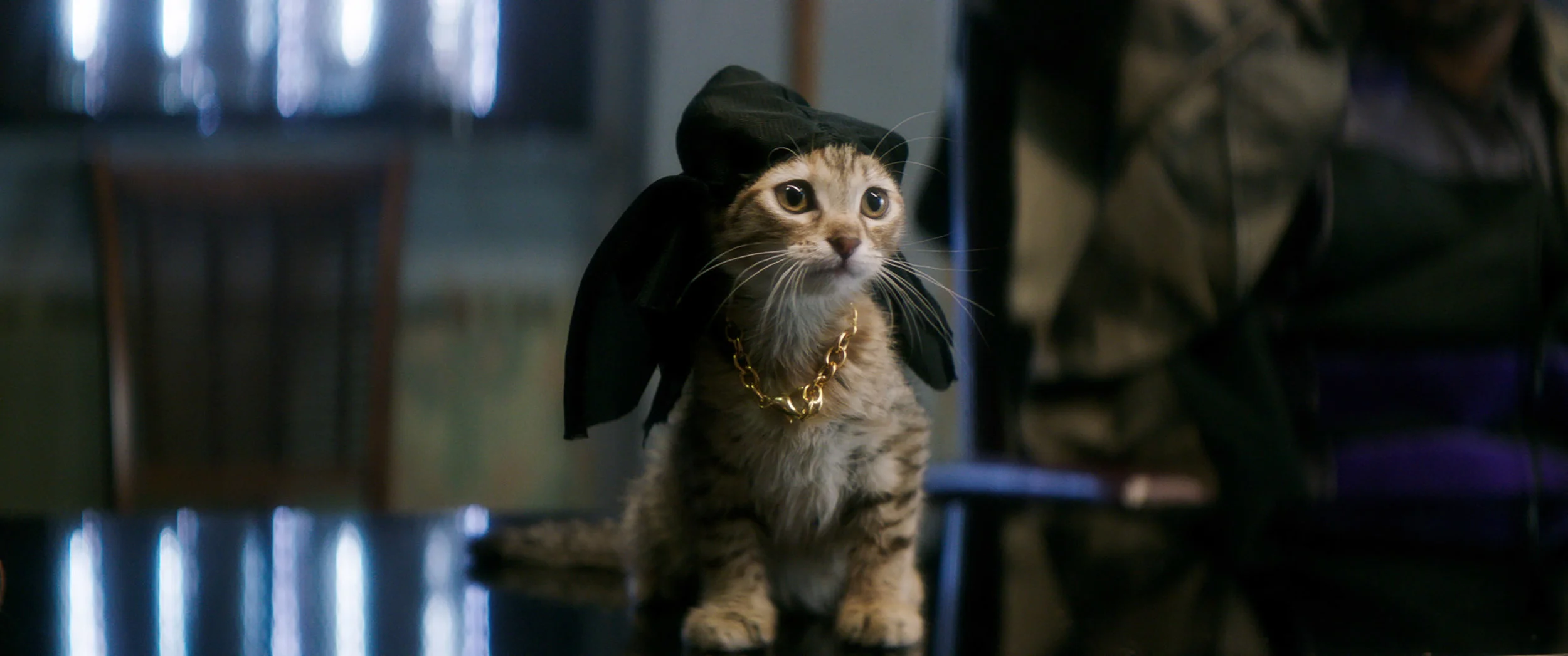 Ranking Every Movie I Saw In 2016, #27: Keanu
