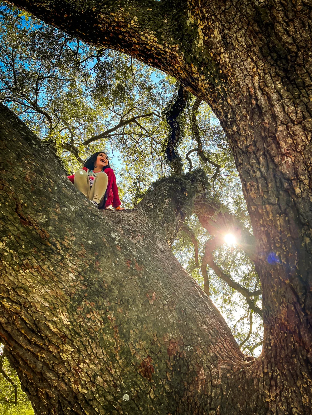 2023-01-25_15-32-28_068 (2023-02-27T20_19_57.127).jpeg