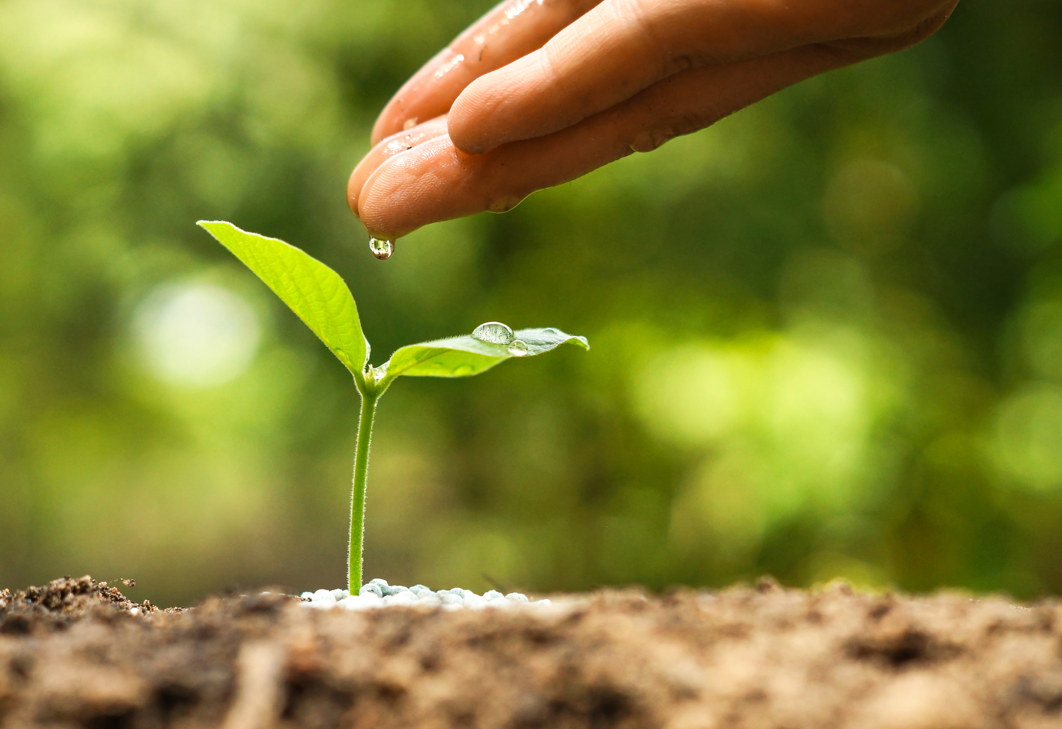 At True Financial Group, provide fee-only investment management and advice.