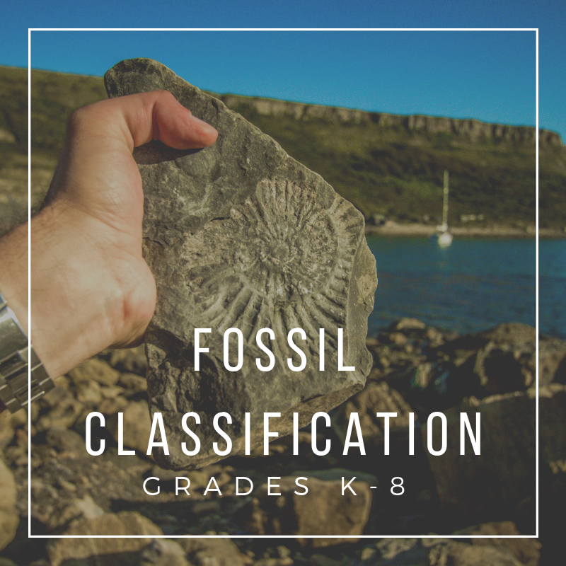 Fossil Classification.png