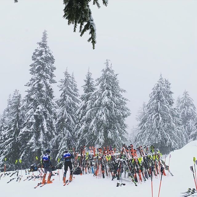 Sometimes when you get an opportunity, you take the day off to help your kids&rsquo; ski team host an FIS ski race. .
.
.
@grousemountain @grousetyeeskiclub 
#nelsondesign #vacationday #fisski #beautifulbc #amazingvolunteers #coursework #gimmearake