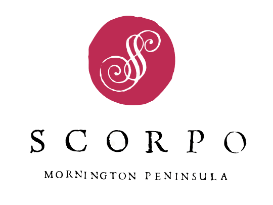 Scorpo Logo.png