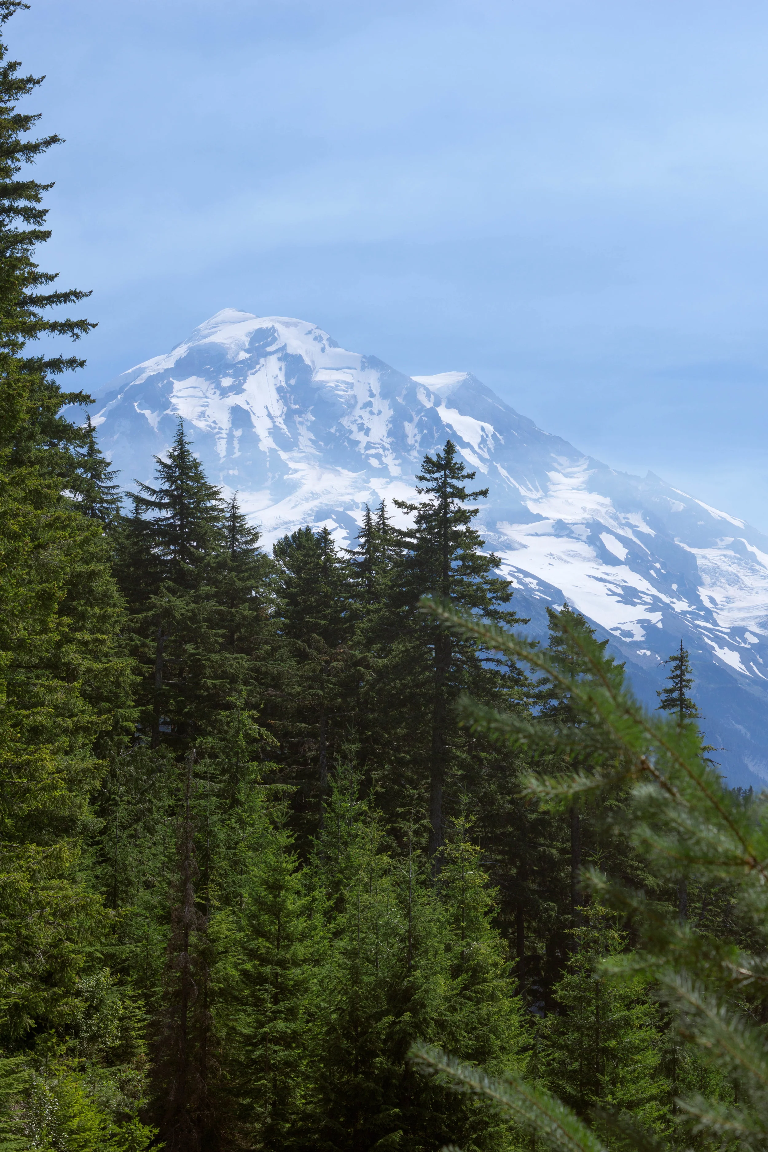 Mt. Rainier, Washington
