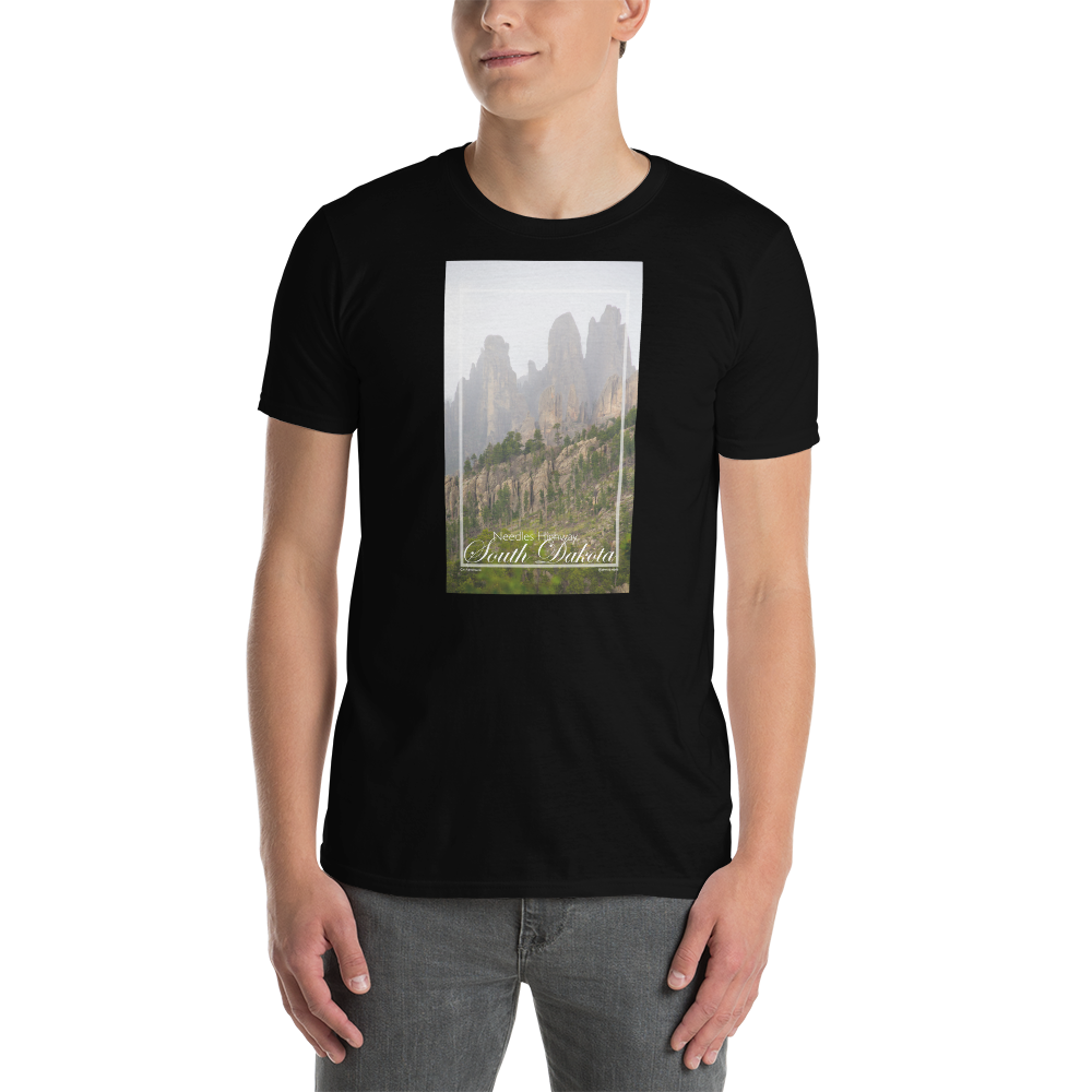 unisex-basic-softstyle-t-shirt-black-front-62dc42d8b5034.png