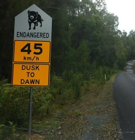 A highway sign aimed at reducing Tasmanian devil road kill.