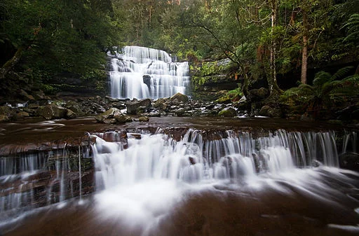 Liffey Falls, in the Tasmanian Wilderness World Heritage Area, is one of the highlights of our full-day caves and waterfalls excursion.