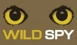wild spy logo.jpg