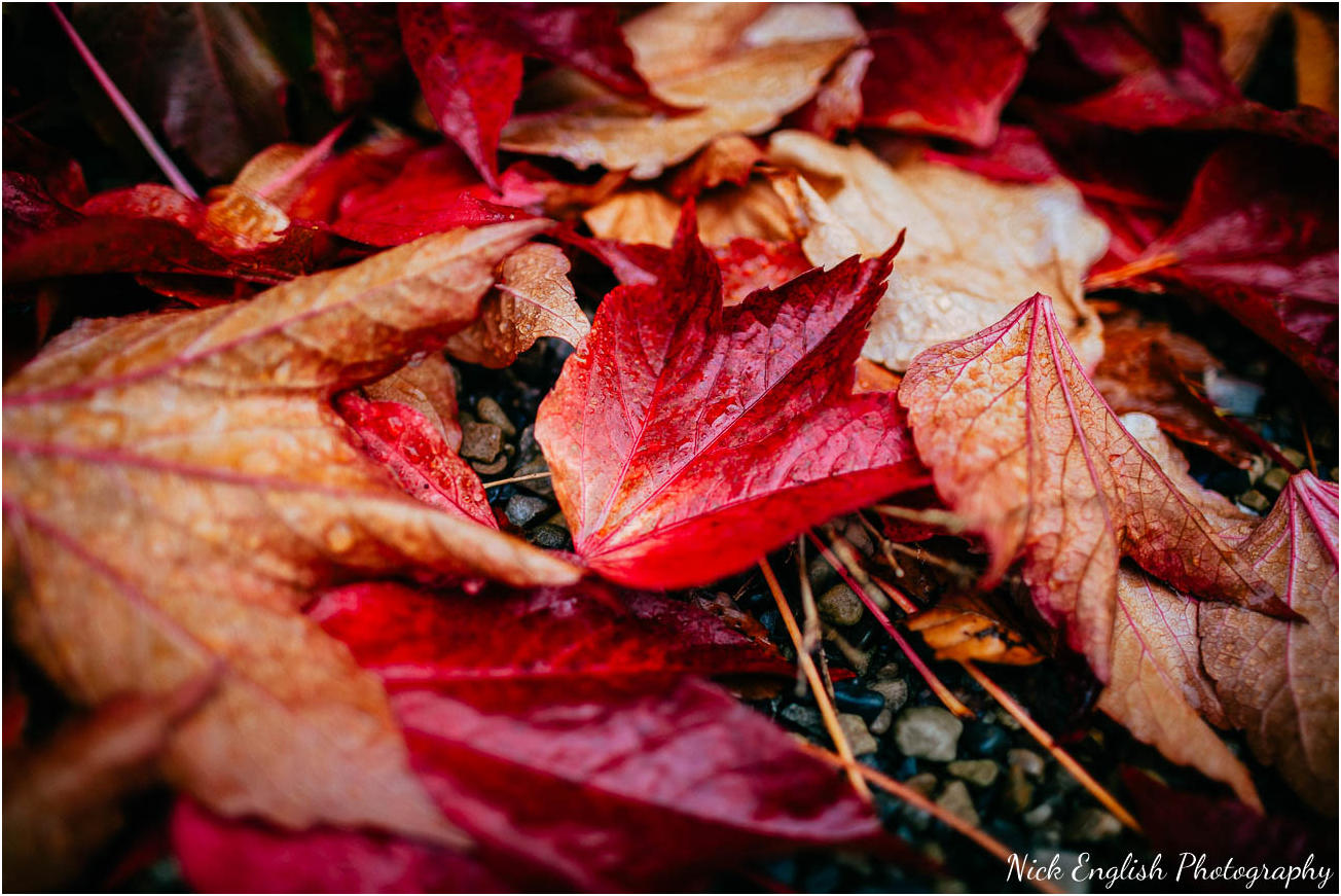 Mitton Hall Wedding Photographer