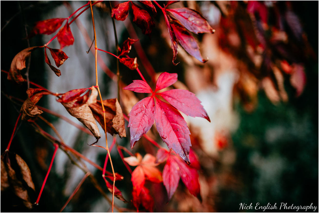 Eaves Hall Wedding Photographs