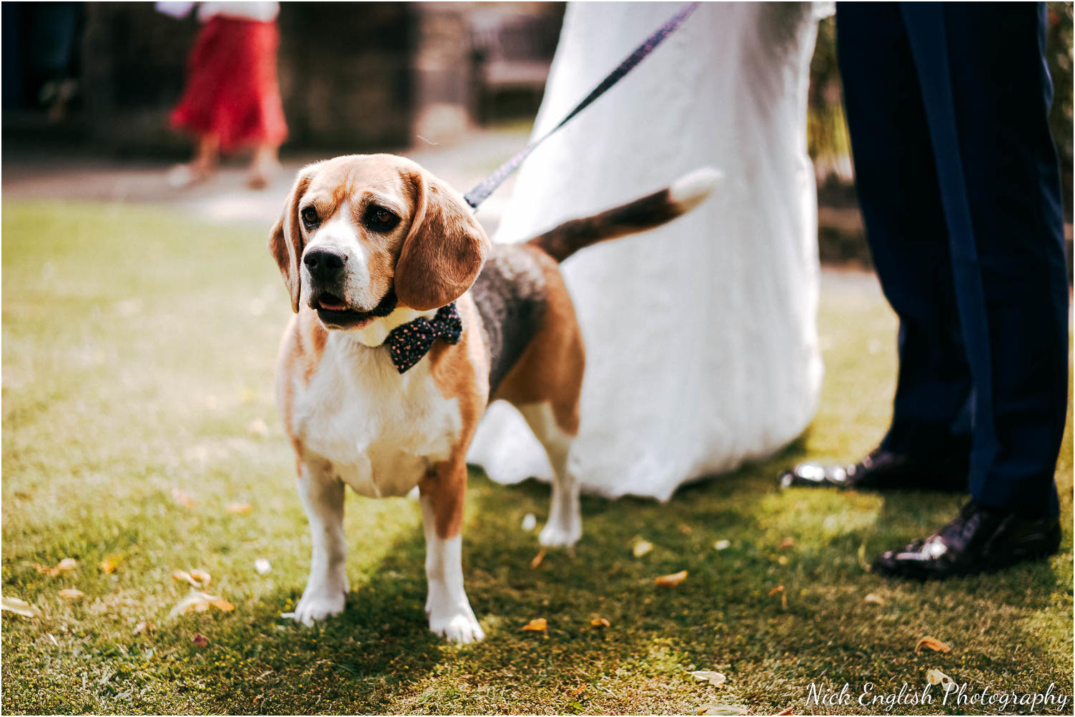 Mitton_Hall_Wedding_Photograph-60.jpg