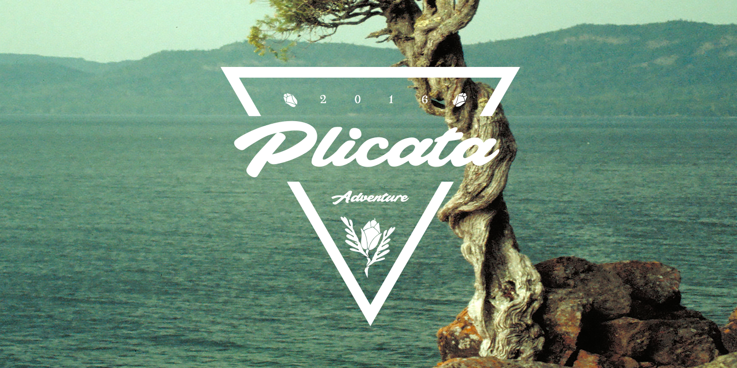plicata_poster01.png