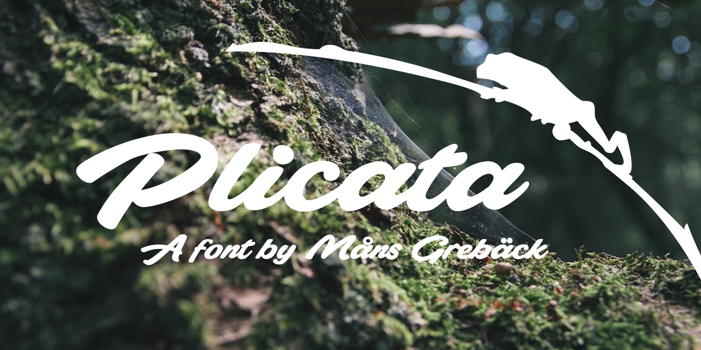 plicata_poster03.png