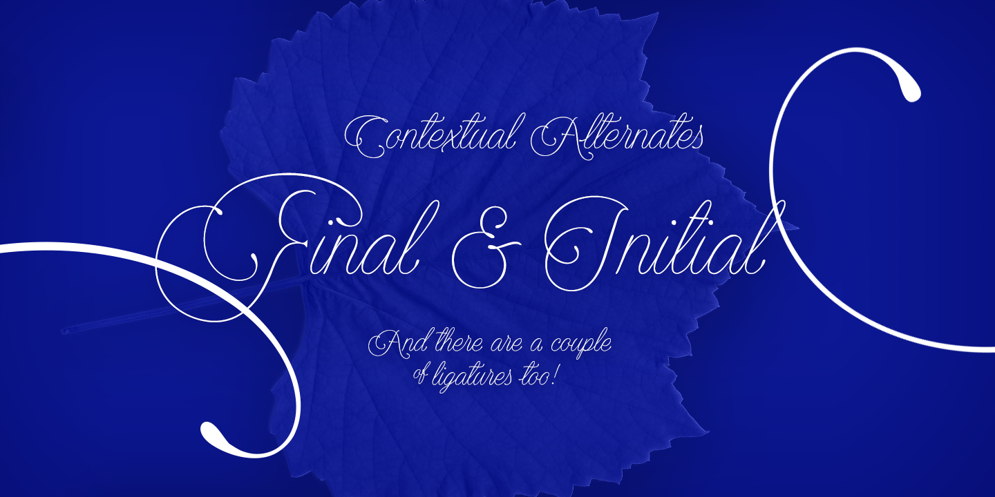 encina-script_poster03.png