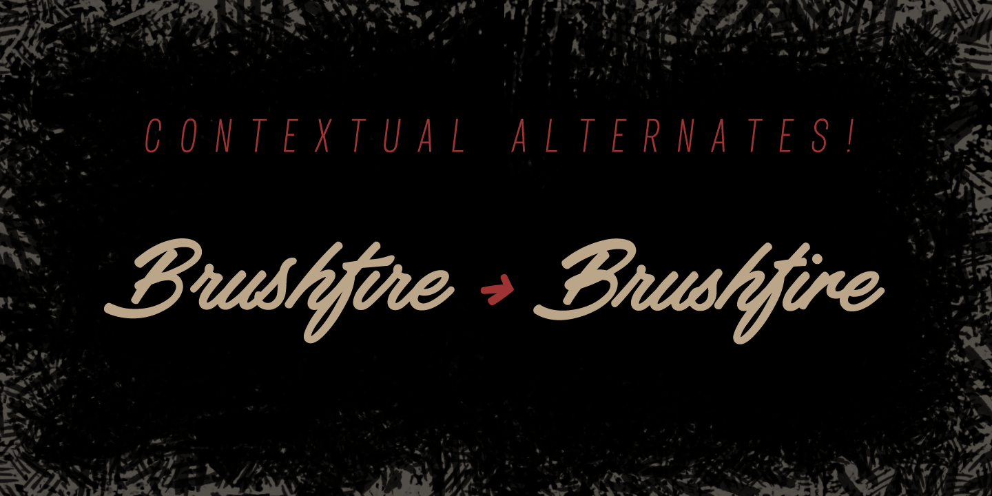 haydon-brush_poster03.png