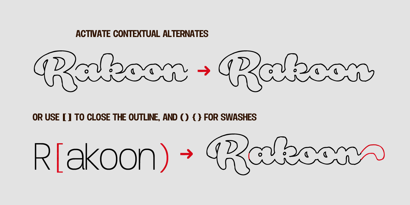 rakoon_poster03.png