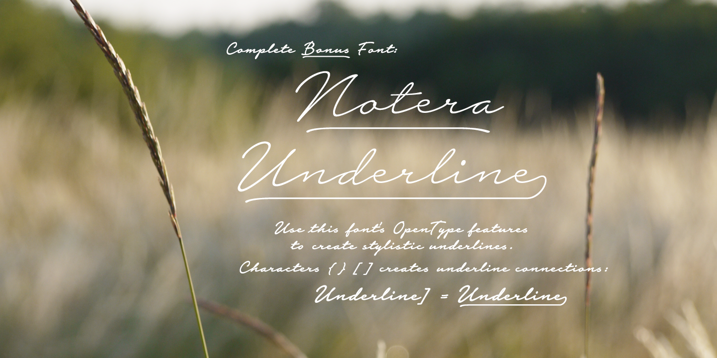 notera-2_poster04.png