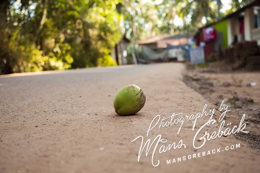 Street Coconut