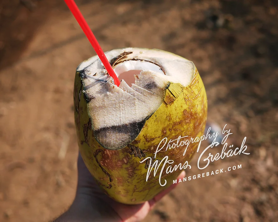 Coconut Drink
