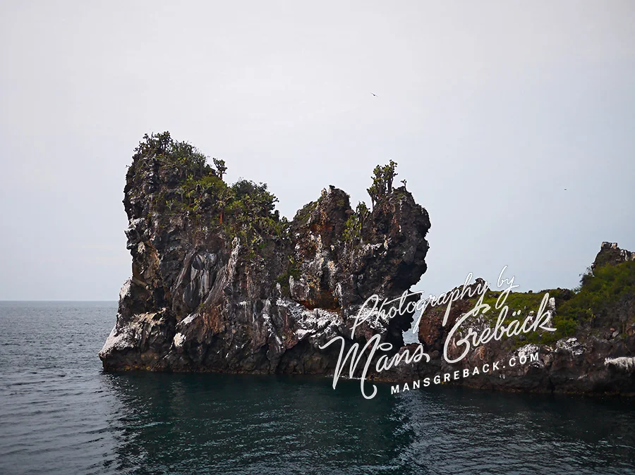 Ocean Rocks