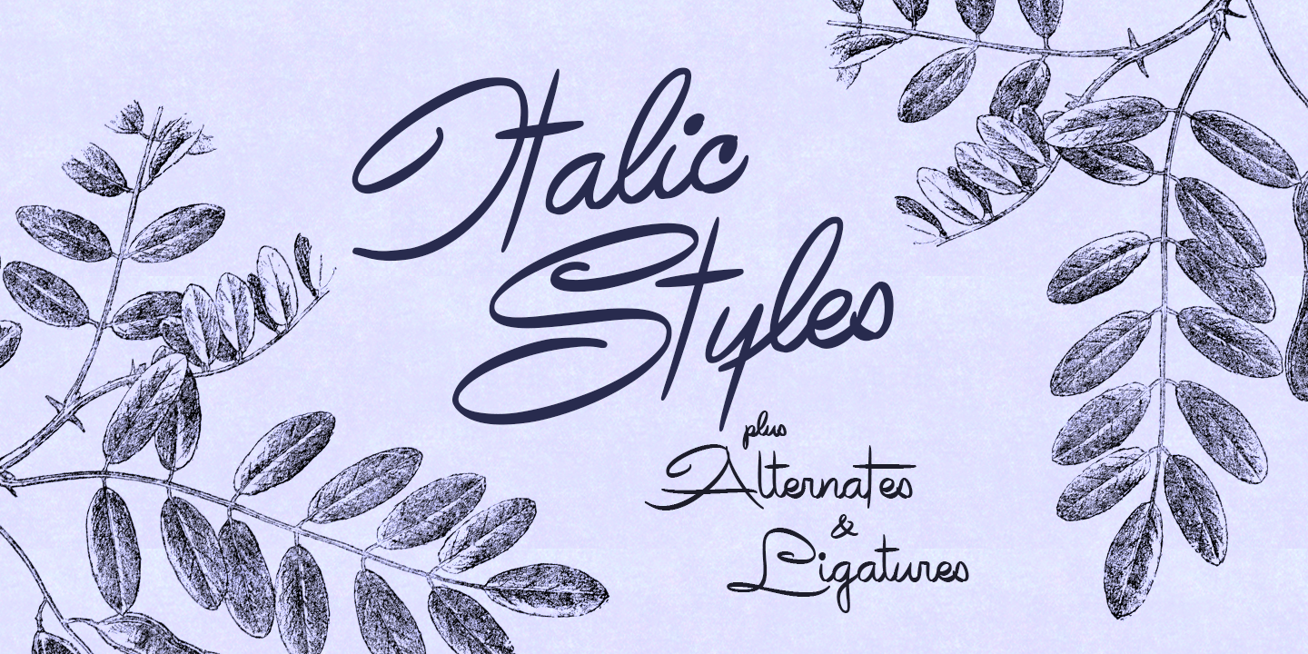 avelana_poster02.png
