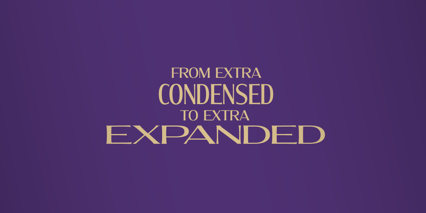 molly-serif_poster04.png