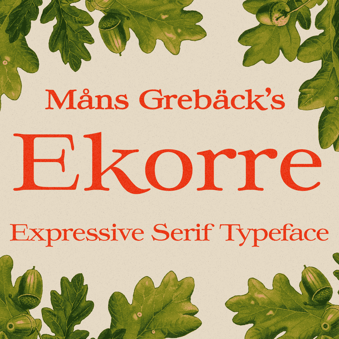 Ekorre