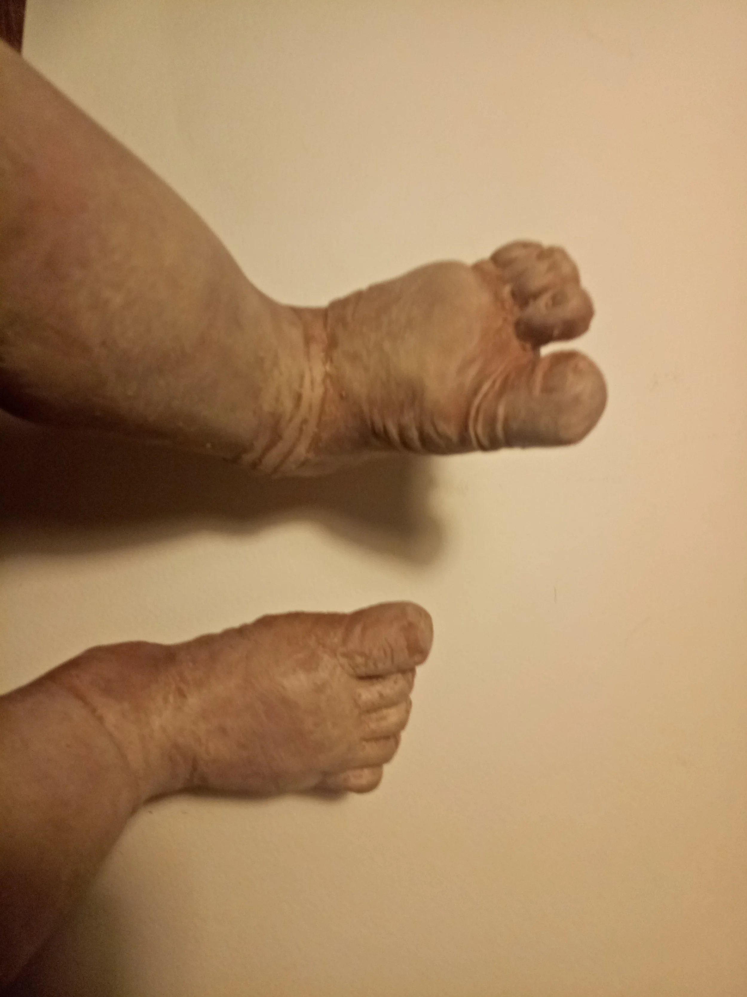 IMG20170723181052.jpg