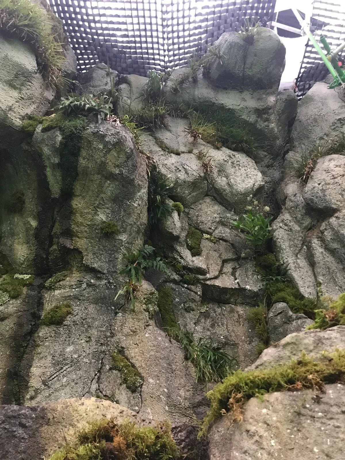 PHOTO-2022-09-26-10-21-26 3.jpg