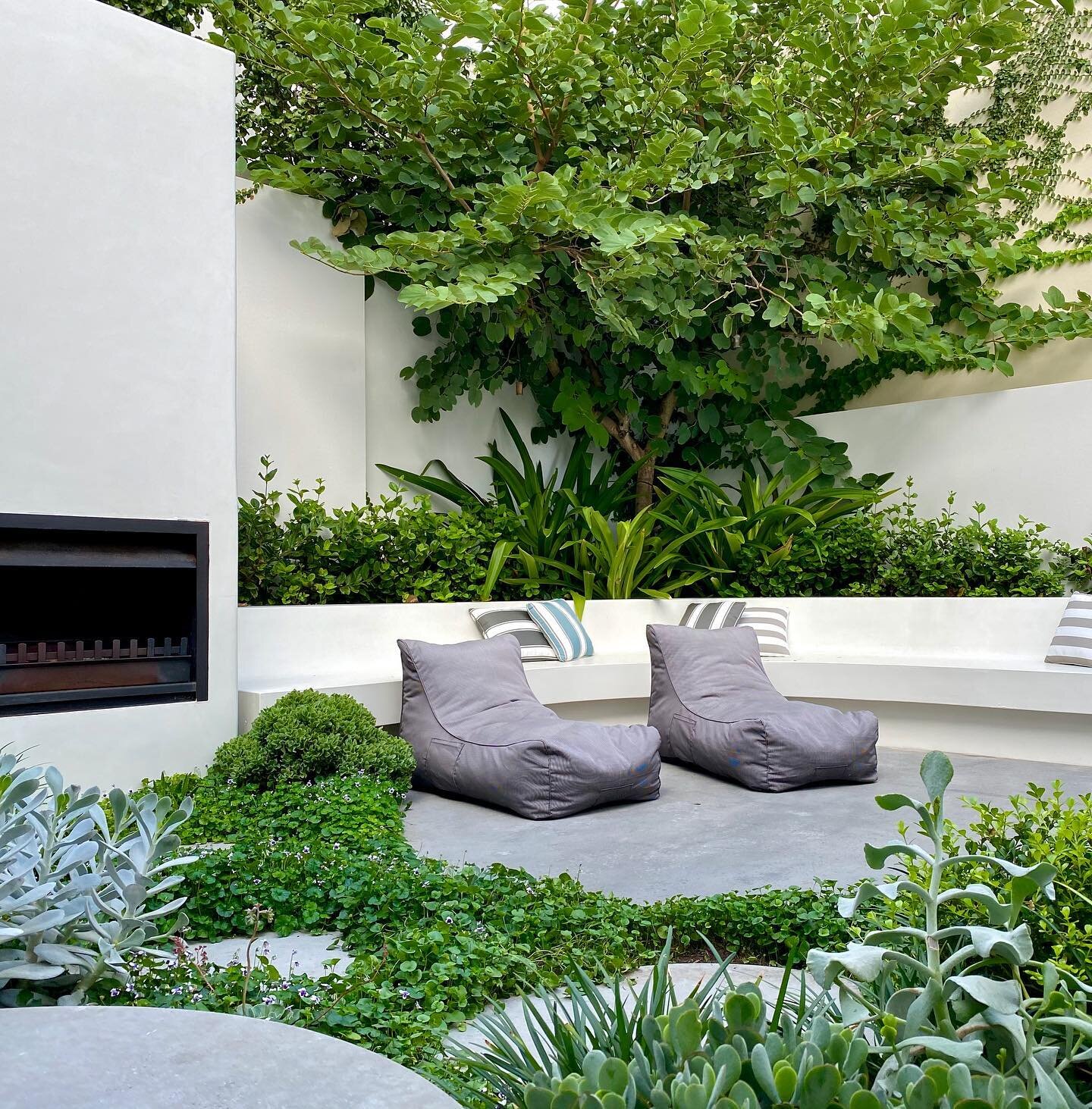 Garden design Perth Cottesloe Tristan Peirce Spreading Roomers