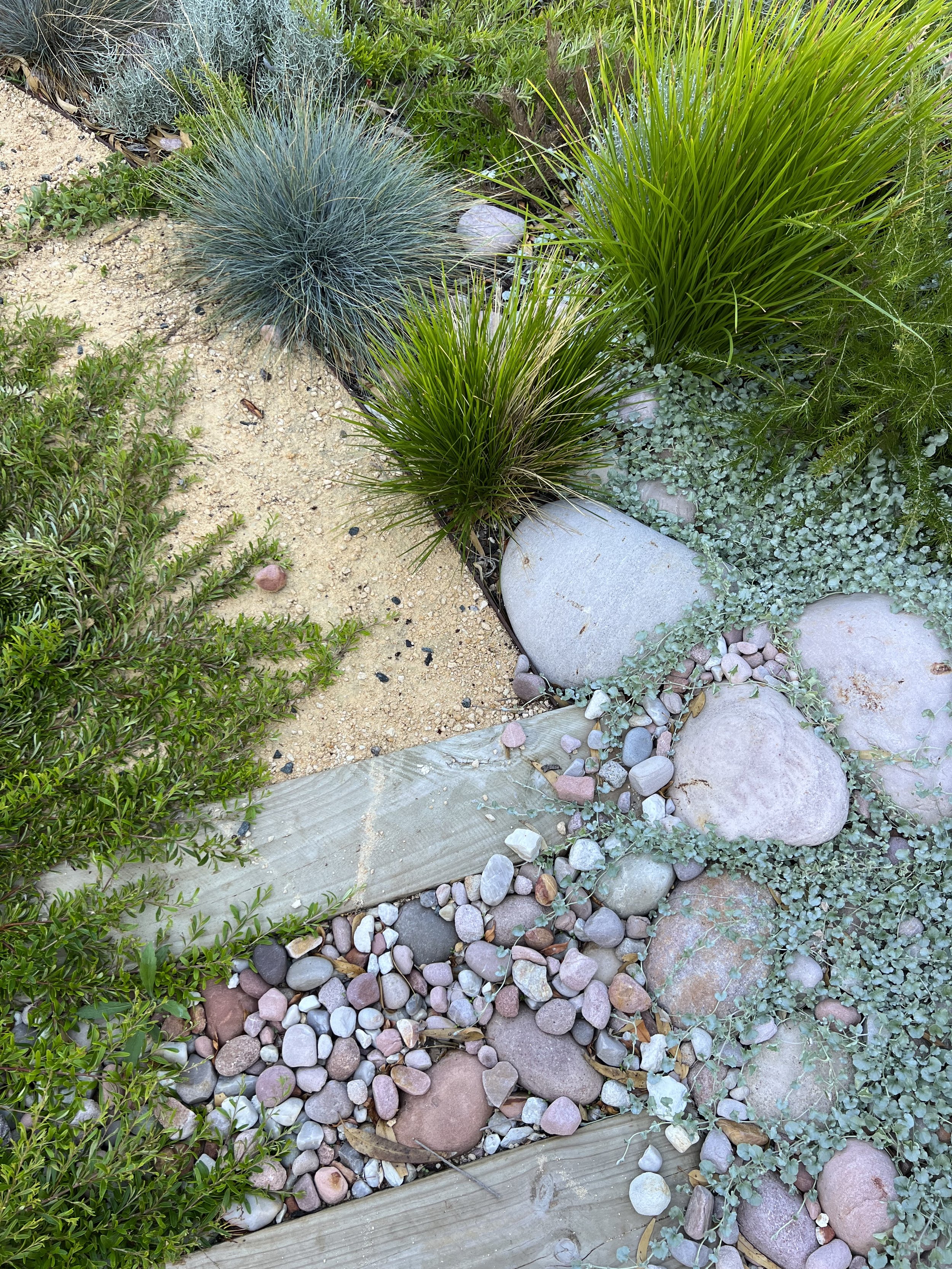 Perth Gardens Kelsie Davies Landscape Architecture.jpg