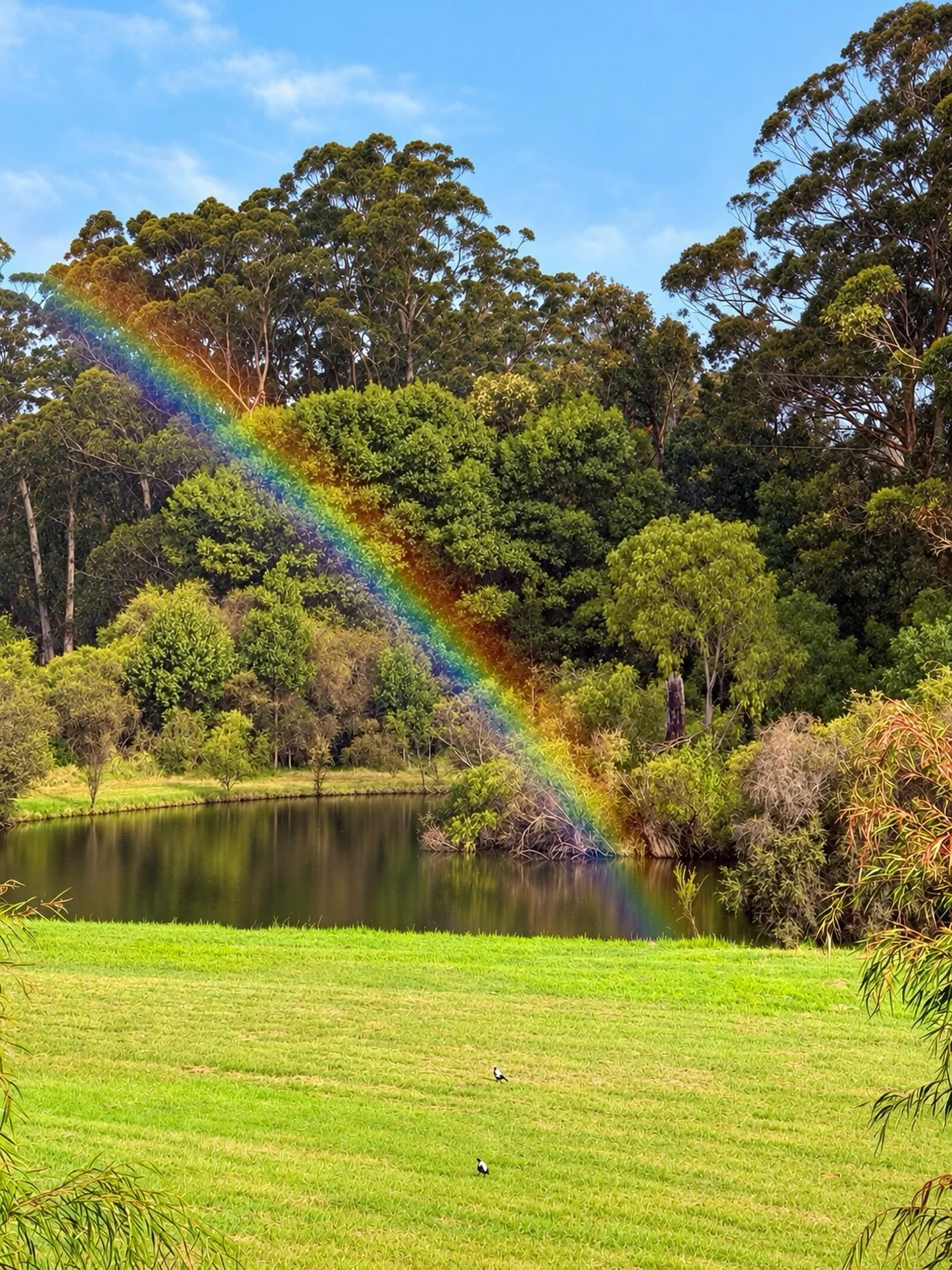 Sun shower magic 🌈