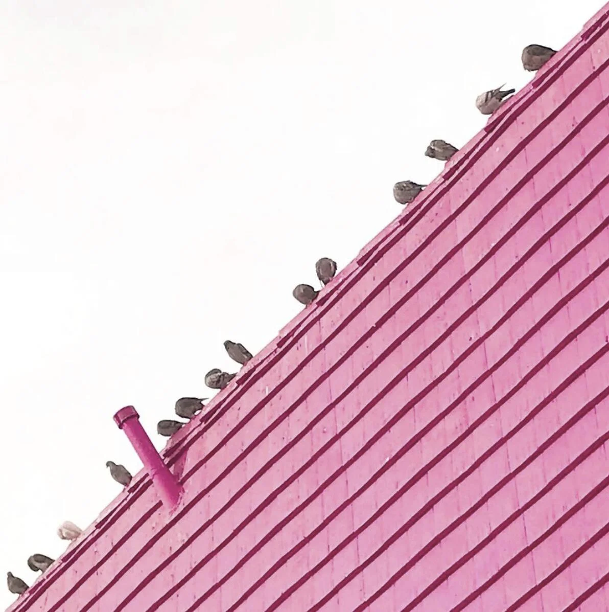 Photography (Digital)